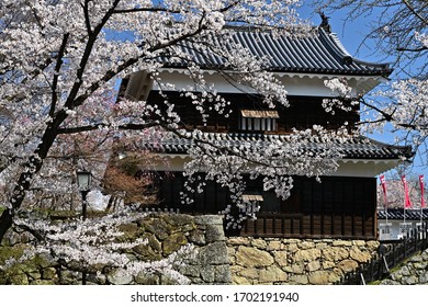 Ueda Castle With Cherry Blossoms