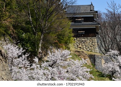 Ueda Castle With Cherry Blossoms