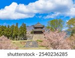 Ueda Castle and sakura cherry blossoms in full bloom, Nagano Prefecture, Japan