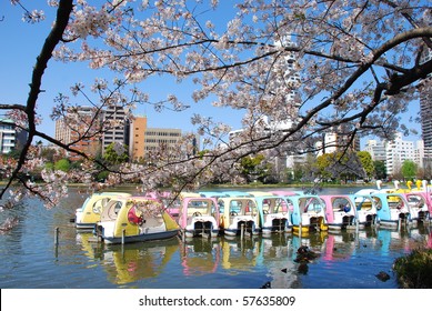 Ueno Park Sakura