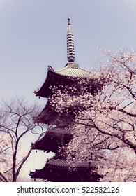 Ueno Park In Tokyo, Japan