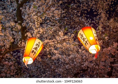 Ueno Sakura Matsuri Cherry Blossom Festival Stock Photo 1049126063 ...