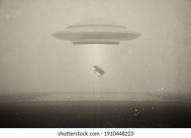 UFO kidnaps a cow . Photo with 3d rendering element and vintage film camera effects