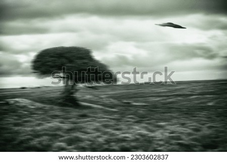 UFO, spaceship and nature for alien invasion, fantasy and science fiction with tree in field. Earth, aliens or environment, landscape and countryside with extraterrestrial drone in motion blur