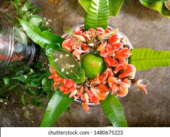 Ugadi Pachadi  In Festival India