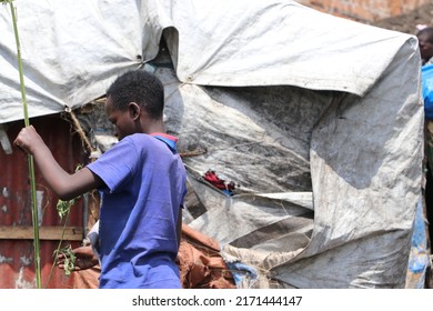 Uganda - June, 2022: The Batwa People In Uganda Are One Of The Oldest Surviving Indigenous Tribes In Africa. They Live High In The Mountain Forests, Straddling Several East African Countries.