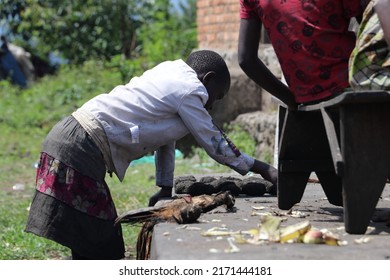 Uganda - June, 2022: The Batwa People In Uganda Are One Of The Oldest Surviving Indigenous Tribes In Africa. They Live High In The Mountain Forests, Straddling Several East African Countries.