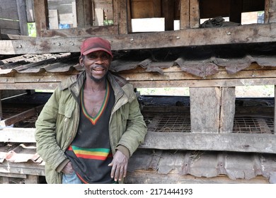 Uganda - June, 2022: The Batwa People In Uganda Are One Of The Oldest Surviving Indigenous Tribes In Africa. They Live High In The Mountain Forests, Straddling Several East African Countries.