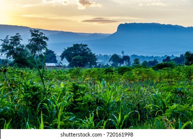 Uganda Nature With The Mount Elgon National Park In The Background