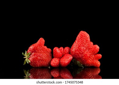 Ugly berries of organic strawberries on a dark background with reflection. Trendy food. Copy space.