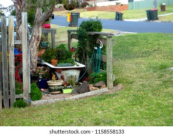 Ugly Compact Garden In A Suburban Street