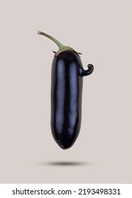 Ugly Eggplant With Nose Levitate On Gray Background. Funny, Abnormal Vegetable, Ugly Produce Or Food Waste Concept.