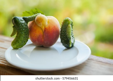 Ugly Fruits And Vegetables Are On The Plate. GMO In Action.