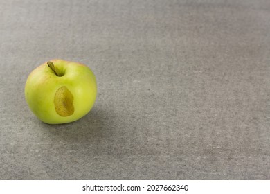 Ugly Garden Apple On Grey Background With Copy Space. Horizontal Orientation