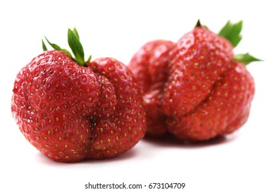 Ugly Organic Heirloom Home Grown Strawberries Isolated