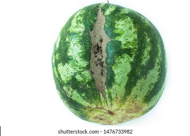 Ugly Shaped Watermelon With Scar-like Structure, Scratch. Organic Deformed Vegetables And Fruits Isolated On White Background. Copy Space, Top View, Flatlay, Minimalism.