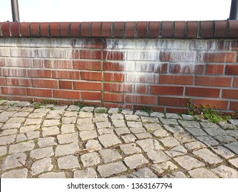 Ugly Wall Efflorescence