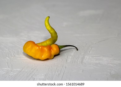 Ugly Yellow Chili Pepper Deformed Snake Stock Photo 1561014689 ...