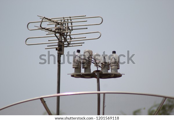 bell sky dish phone number