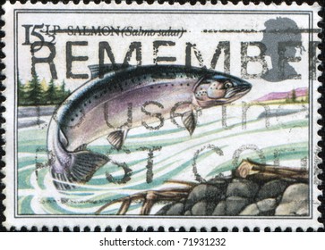  UK - CIRCA 1983: A Stamp Printed In United Kingdom Shows Jumping Salmon,  Series British River Fishes, Circa 1983