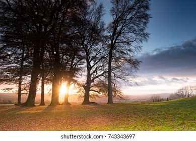 UK Fish Hill Broadway Autumn Fall View With Sun Set Through Trees And Cotswold Hills In The Background