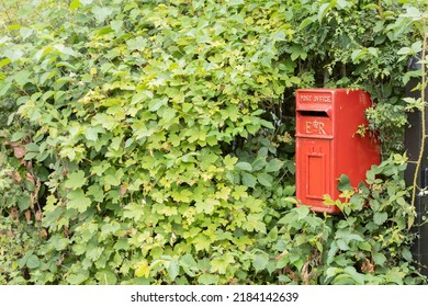 Uk Red Post Office Mail Box Surrounded By Shrubs Copy Space 