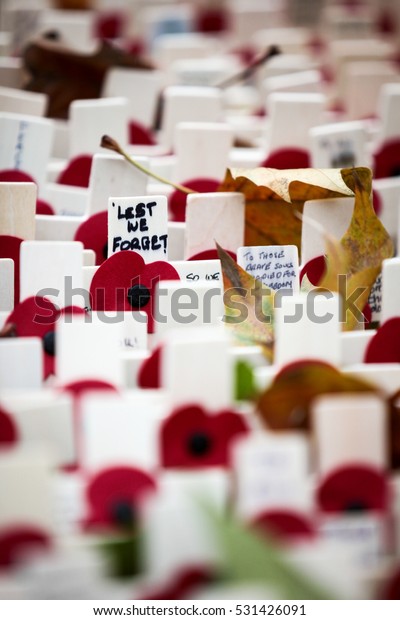 UK Remembrance Day: Lest We forget. Detail of\
wreaths and messages of remembrance in tribute to those who lost\
their lives in the line of\
duty.