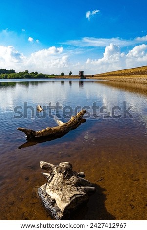 UK reservoir waterview with logs Foto d'archivio © 
