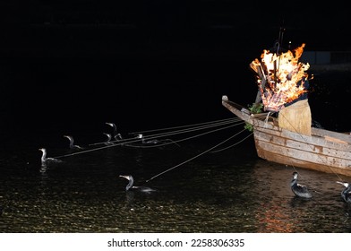Ukai (ancient fishing method catching sweetfish by using tamed cormorants)
In the Ukai of Nagara-gawa River, one ujo conducts fishing using 12 cormorants at once. - Shutterstock ID 2258306335