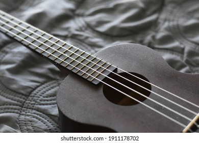 Uke on a grey background