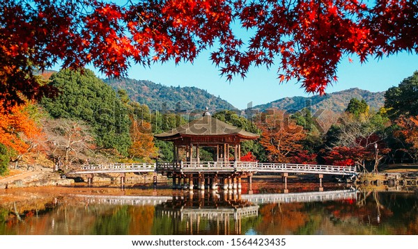 Ukimido, a classical\
hexagonal wooden pavilion floats on Sagiike Pond in Nara Park, Nara\
prefecture, Japan