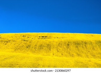 Ukraine flag. Blue sky and yellow field