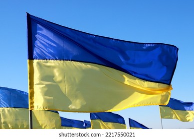 Lot Of Ukraine Flag Fluttering In Wind. Heroic Struggle Of Ukrainian People Against Russian War. Constitution, Independence, Flag, Defender Day Of Ukraine