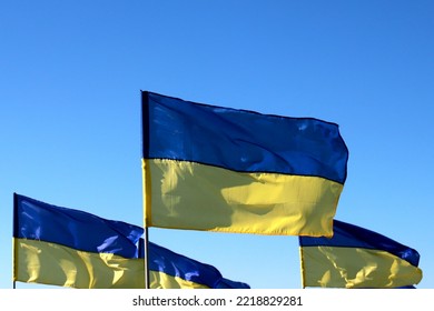 Lot Of Ukraine Flag Fluttering In Wind. Heroic Struggle Of Ukrainian People Against Russian War. Constitution, Independence, Flag, Defender Day Of Ukraine