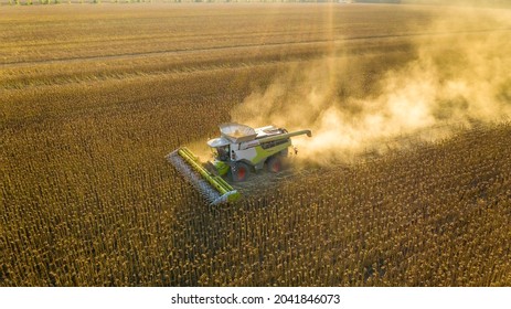Ukraine, Kharkiv, September 14, 2021 sunflower harvesting, harvester harvesting, drone photo