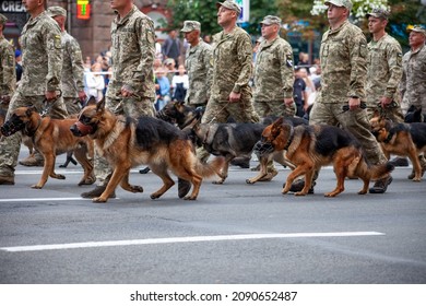 Ukraine, Kiev - August 18, 2020: Border guards with shepherd dogs. The military at the parade. A soldier with a watchdog. Service dog shepherd in the service of the state. The soldiers are marching.