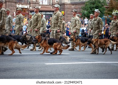 Ukraine, Kiev - August 18, 2020: Border guards with shepherd dogs. The military at the parade. A soldier with a watchdog. Service dog shepherd in the service of the state. The soldiers are marching.
