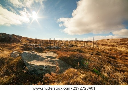 Ukraine, Magura-Jide mountains and blue sky Landscape of the Carpathian mountains. Wide open desert landscapes of the Borzhava highlands. Pylypets, National Park. High quality photo Foto stock © 
