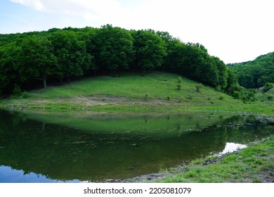 Ukraine Nature. Dniester River In Western Ukraine. 