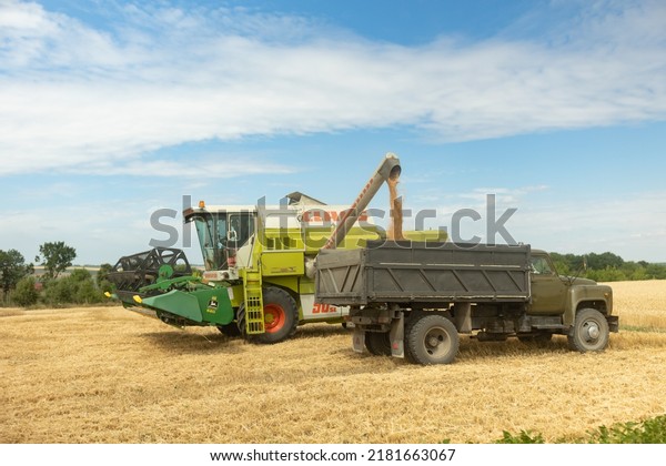 Ukraine, Vartekivtsi, July 19, 2022. Overloading grain\
from combine harvesters into grain truck in field. Harvester\
unloder pouring harvested wheat into a box body. Farmers at work.\
