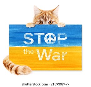 Ukraine war and animal aid concept. Cat holding a placard protest sign with painted ukraine flag colors and a message text stop the war, and peace symbol. Isolated on white background