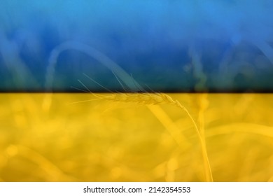 Ukraine War. Spikelets Gold Color, Backlit, Natural Summer Background. Photo Of Wheat Field At Sunrise Sun Burst. Glitter Overlay. Ukraine Flag. 