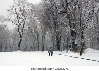 In The Ukrainian Capital, A Large Space Is Occupied By Parks And Forests And Groves, In Which Like Walking Women With Children, Lovers, Young People, Older People-grandparents And Walk Their Dogs Pets