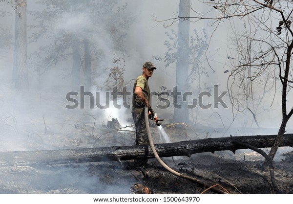 Ukrainian  fireman team in the forest. A lot of\
forest wildfires at dry september. September 10, 2019.  Near Kiev,\
Ukraine.