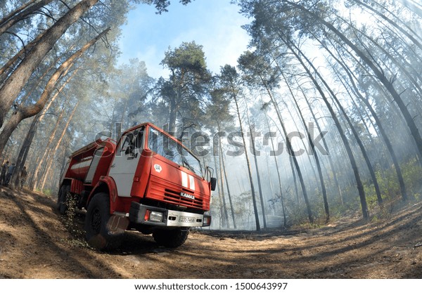 Ukrainian  fireman team in the forest. A lot of
forest wildfires at dry september. September 10, 2019.  Near Kiev,
Ukraine.