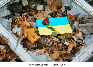 Ukrainian flag, red rose  and bunny plush toy on shattered glass of broken window.
