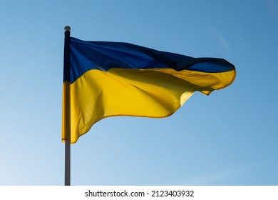 Ukrainian flag waving in wind and sunlight. Flag of Ukraine on blue sky background. National symbol of freedom and independence. - Shutterstock ID 2123403932