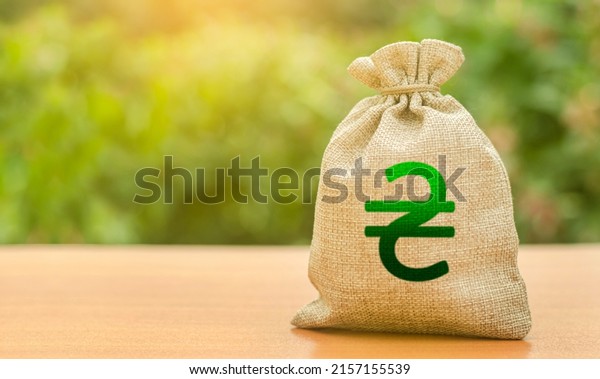Ukrainian hryvnia money bag. Deposit or savings.\
Banking services, mortgage loan. Investments. Subsidies, government\
support. Compensation for damage and reparations. Financial\
donation, save\
economy