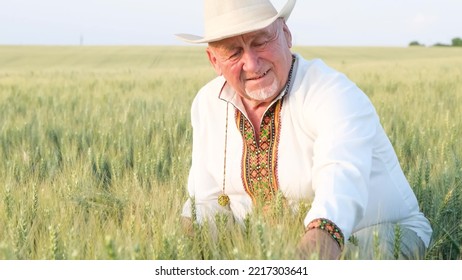 A Ukrainian Peasant In An Embroidered Jacket Touches Wheat.