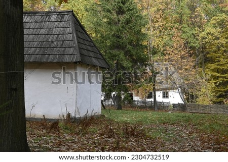 Ukrainian village in Carpathian Mountains Foto stock © 